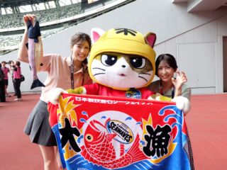 オンラインストア | 日本製鉄釜石シーウェイブス